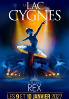 Le Lac des Cygnes