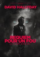 David Hallyday : Requiem pour un fou | Dijon