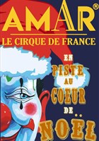 Cirque Amar� dans Maestria