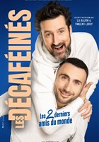 Les Dcafins dans Les 2 derniers amis du monde