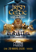 Irish Celtic : Spirit of Ireland