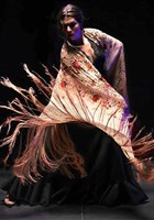 Tablao Flamenco