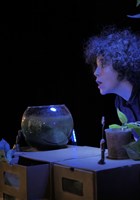 Une Chaussure dans le Bocal