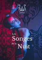 Les songes de la nuit