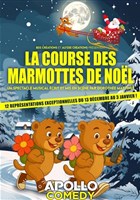 La course des marmottes de No�l