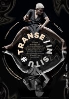 Transe/In Situ