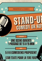 Stand Up Comedy Or Not