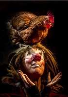 �tre Vivant : Paroles des oiseaux de la terre