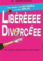 Libre Divorce