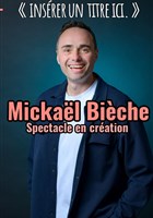 Micka�l Bieche dans Ins�rer un titre ici