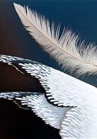 La mouette