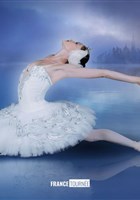 Le Lac des Cygnes