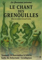 Le chant des Grenouilles