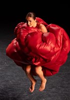 Paula Comitre et Jos� del Tomate : Apr�s vous madame + Concert