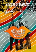 The Shakin' Mamas Orchestra