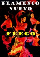 Flamenco Fiesta
