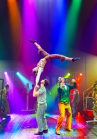 Nol au Cirque
