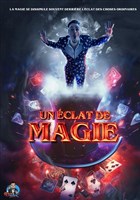 Patrick Martin dans Un clat de magie