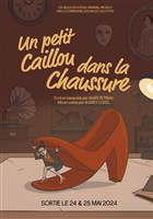 Un petit caillou dans la chaussure