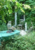 Prix Nobel de l'amour