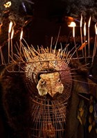 L'oiseau de Prom�th�e