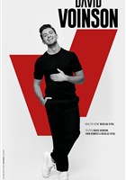 David Voinson