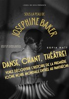 Sous la peau de Josphine Baker