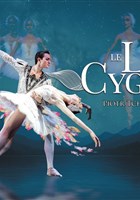 Le Lac des Cygnes
