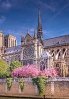 Visite guide : Notre-Dame de Paris | par Calliope - art-culture