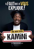 Kamini dans lI faut que je vous explique !