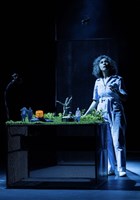 Je voudrais mourir par curiosit