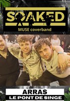 Soaked : Tribute Muse