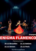 Enigma Flamenco