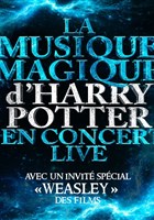 The magical music of Harry Potter live in concert | Massy