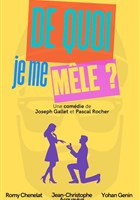 De quoi je me m�le