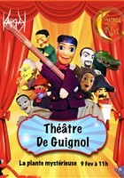 La plante myst�rieuse