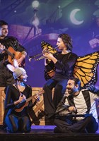 Flash, le petit papillon dont les minutes sont cont�es