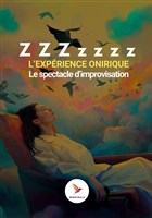 ZZZzzzz, l'exp�rience onirique