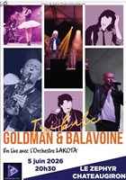 Tribute Goldman & Balavoine
