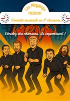 La Com�die musicale en 17 chansons