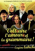 Voltaire, l'amour et la grammaire !