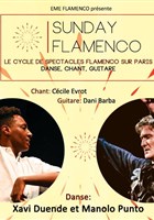Sunday Flamenco