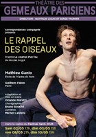 Le rappel des oiseaux